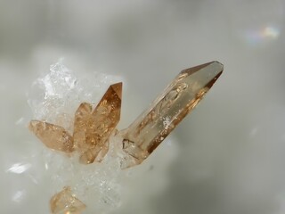 Deutschland/Rheinland-Pfalz/Mayen-Koblenz-Kreis/Vordereifel, Verbandsgemeinde/Ettringen/Bellerberg/Ettringer Bellerberg (Stbr. Caspar)