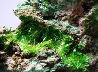 Demokratische Republik Kongo/Katanga (Shaba), Provinz/Lualaba, Distrikt/Kolwezi, Revier/Kolwezi, Stadt/Musonoi