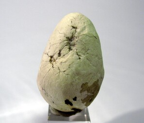 Deutschland/Niedersachsen/Lüneburg, Landkreis/Lüneburg/Volgershall