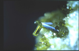 Österreich/Salzburg/Zell am See, Bezirk (Pinzgau)/Neukirchen am Großvenediger, Marktgemeinde/Sulzau, Katastralgemeinde/Obersulzbachtal/Seebachtal/Seebachkar