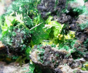 Demokratische Republik Kongo/Katanga (Shaba), Provinz/Lualaba, Distrikt/Kolwezi, Revier/Kolwezi, Stadt/Musonoi