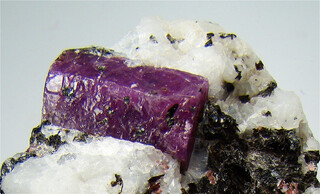 Russland/Nordwestrussland, Föderationskreis/Karelien, Republik/Khit, Insel (Khit Ostrov)