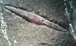 Österreich/Niederösterreich/Krems-Land, Bezirk/Mühldorf, Marktgemeinde/Amstall, Katastralgemeinde/Weinberg (Graphitbergbau)