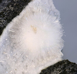 Deutschland/Hessen/Darmstadt, Bezirk/Wetteraukreis/Ortenberg/Steinbruch am Gaulsberg