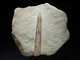 Australien/South Australia/Coober Pedy