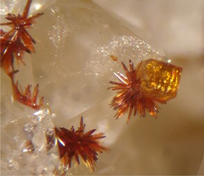 Frankreich/Auvergne-Rhône-Alpes, Région/Allier, Département/Montluçon, Arrondissement/Echassières/Les Montmins (Sainte Barbe filon)