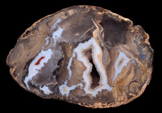 Mexiko/Sonora, Estado