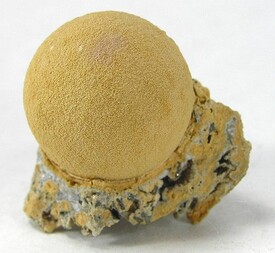 Russland/Ferner Osten, Föderationskreis/Primorje (Primorskiy), Kray/Dal'negorsk (Dalnegorsk; Tetjuche)/Nikolaevskiy Mine