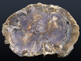 Deutschland/Sachsen/Chemnitz/Hilbersdorf