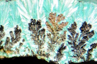 Österreich/Tirol/Kufstein, Bezirk/Wildschönau/Thierbach/Gratlspitz Ostseite