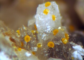 Deutschland/Bayern/Oberpfalz, Bezirk/Neustadt an der Waldnaab, Landkreis/Waidhaus/Silbergrube