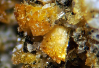 Deutschland/Bayern/Oberpfalz, Bezirk/Neustadt an der Waldnaab, Landkreis/Waidhaus/Silbergrube