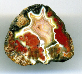 Deutschland/Brandenburg/Oberspreewald-Lausitz, Landkreis/Großräschen/Saalhausen