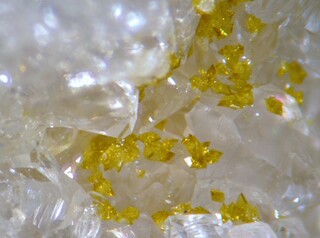 Frankreich/Auvergne-Rhône-Alpes, Région/Allier, Département/Montluçon, Arrondissement/Echassières/Les Montmins (Sainte Barbe filon)