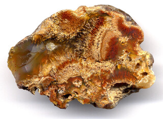 Deutschland/Sachsen/Bautzen, Landkreis/Ottendorf-Okrilla