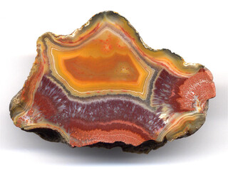 Deutschland/Brandenburg/Oberspreewald-Lausitz, Landkreis/Großräschen/Saalhausen