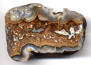 Deutschland/Brandenburg/Oberspreewald-Lausitz, Landkreis/Großräschen/Saalhausen