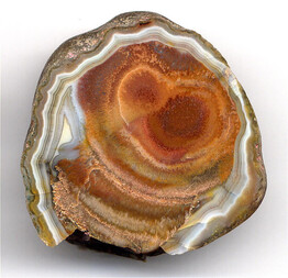 Deutschland/Brandenburg/Oberspreewald-Lausitz, Landkreis/Großräschen/Saalhausen