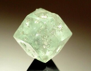 Deutschland/Niedersachsen/Lüneburg, Landkreis/Lüneburg/Kalkberg (Gipsbrüche)