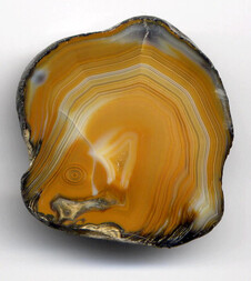 Deutschland/Brandenburg/Oberspreewald-Lausitz, Landkreis/Großräschen/Saalhausen