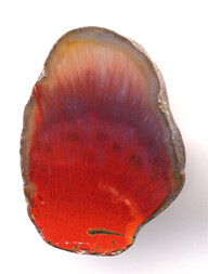 Deutschland/Brandenburg/Oberspreewald-Lausitz, Landkreis/Großräschen/Saalhausen