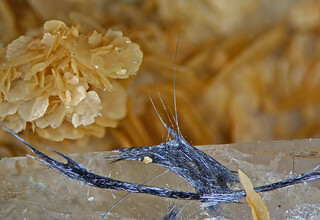 Deutschland/Rheinland-Pfalz/Neuwied, Kreis/Puderbach/Raubach/Grube Apollo