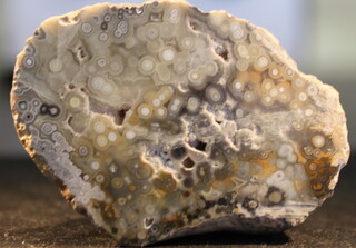 Deutschland/Sachsen/Görlitz, Landkreis/Niesky/See/Zeche Moholz/Kieswerke Heim