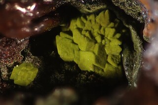 Griechenland/Attika (Attikí, Attica)/East Attica/Lavreotiki/Lavrion (Laurion), Bergbaudistrikt/Agios Konstantinos (Kamariza)/Mercati Minen/Christiana Mine