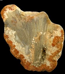 Niederlande/Limburg, Provinz/Arcen