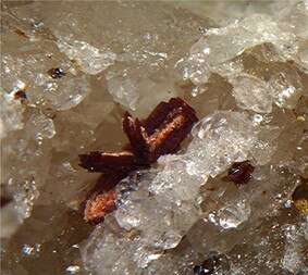 Frankreich/Auvergne-Rhône-Alpes, Région/Allier, Département/Montluçon, Arrondissement/Echassières/Les Montmins (Sainte Barbe filon)