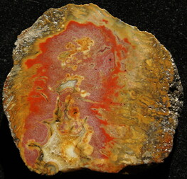 Deutschland/Sachsen/Bautzen, Landkreis/Ottendorf-Okrilla