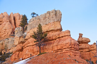 USA/Utah/Garfield County/Paunsaugunt Plateau/Red Canyon