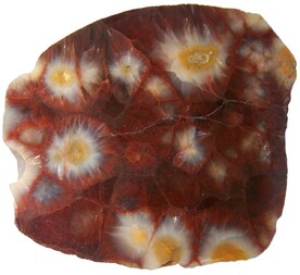 Deutschland/Sachsen/Bautzen, Landkreis/Lauta/Leippe-Torno