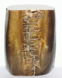 Deutschland/Sachsen/Bautzen, Landkreis/Lauta/Felder an der Landstraße 58 und Kieswerk Lauta