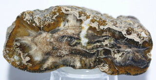 Deutschland/Sachsen/Bautzen, Landkreis/Bernsdorf/Großgrabe