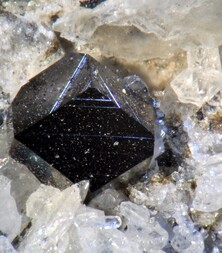 Deutschland/Bayern/Oberfranken, Bezirk/Hof, Landkreis/Zell im Fichtelgebirge, Gemeinde/Steinbruch Haidberg