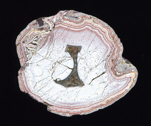 Deutschland/Rheinland-Pfalz/Südliche Weinstraße, Landkreis/Waldhambach/Steinbruch Kuhn