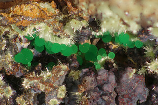 Griechenland/Attika (Attikí, Attica)/East Attica/Lavreotiki/Lavrion (Laurion), Bergbaudistrikt/Agios Konstantinos (Kamariza)/Kamariza Minen (Kamareza)/Hilarion Mine