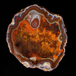 Mexiko/Chihuahua, Estado/Chihuahua, Municipio/Ojo Laguna