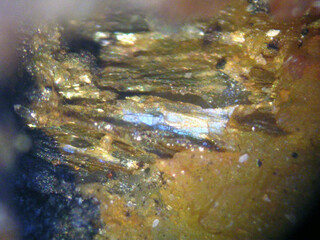 Belgien/Wallonie/Luxemburg (Luxembourg), Provinz/Bastogne, Bezirk/Vielsalm/Cahai (Cahay)/Tier des Carrières