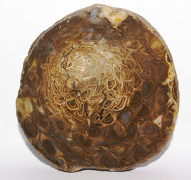 Australien/Queensland/Western Downs Region/Miles