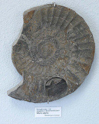 Deutschland/Baden-Württemberg/Stuttgart, Bezirk/Göppingen, Landkreis/Geislingen an der Steige