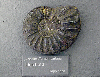 Deutschland/Baden-Württemberg/Stuttgart, Bezirk/Göppingen, Landkreis/Göppingen