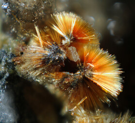 Deutschland/Bayern/Oberpfalz, Bezirk/Neustadt an der Waldnaab, Landkreis/Waidhaus/Hagendorf/Hagendorf-Süd (Grube Cornelia)