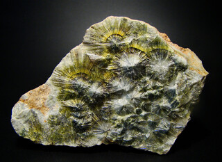 USA/Arkansas/Garland County/Avant/Dug Hill