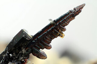 Deutschland/Rheinland-Pfalz/Vulkaneifel, Landkreis/Gerolstein, Verbandsgemeinde/Hillesheim/Steinbruch Stolz (Graulai; Graulay)