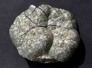 Deutschland/Baden-Württemberg/Freiburg, Bezirk/Lörrach, Landkreis/Wieden