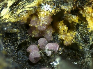 Deutschland/Bayern/Oberpfalz, Bezirk/Neustadt an der Waldnaab, Landkreis/Waidhaus/Hagendorf/Hagendorf-Süd (Grube Cornelia)