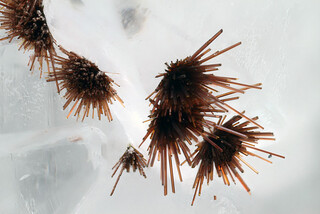 Italien/Venetien (Veneto), Region/Vicenza, Provinz/Schio/Steinbruch Italcementi spa (Cava Italcementi spa)