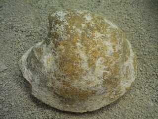 Italien/Molise, Region/San Felice del Molise